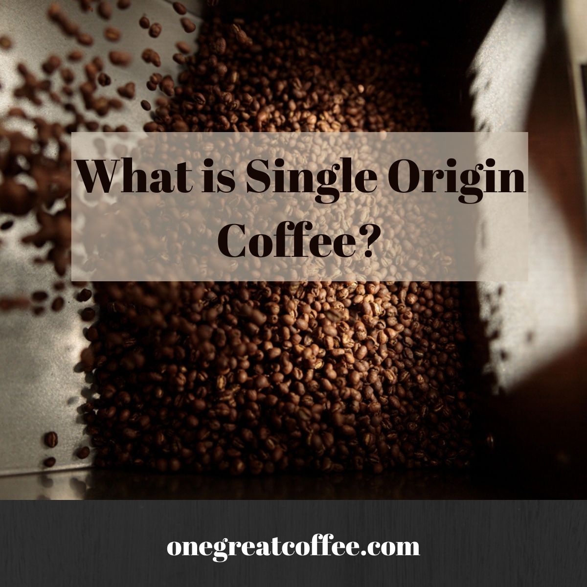 Single-Origin Coffee at One Great Coffee